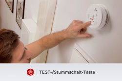 X-Sense Rauchmelder SD11 Autark