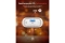 X-Sense Kohlenmonoxid-Melder XC01-R Autark mit LCD-Anzeige