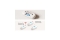X-Sense CO-Melder XC01-M