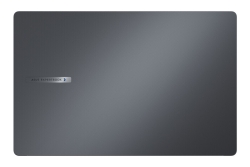 ASUS ExpertBook B1 15.6 C7-150 16/256 B1503CVA-S79180 ohne OS
