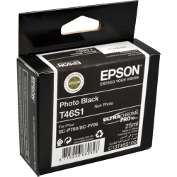 Epson Tinte C13T46S100 foto schwarz T46S1