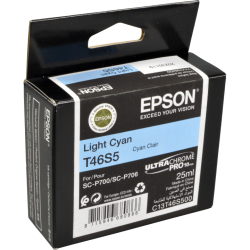 Epson Tinte C13T46S500 light cyan T46S5