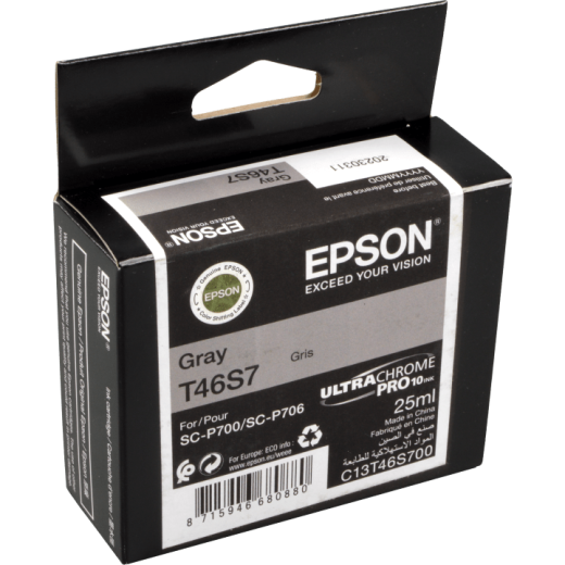 Epson Tinte C13T46S700 gray T46S7