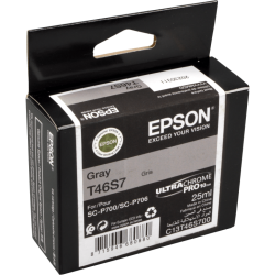 Epson Tinte C13T46S700 gray T46S7