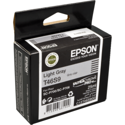 Epson Tinte C13T46S900 light gray T46S9