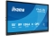 IIYAMA 138.8cm(55) TE5513A-B3AG 16:9 Touch 2xHDMI+DP+2xUSBC (Speditionsversand)