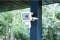 Brennenstuhl LED Strahler JARO 1060 P mit Infrarot-Bewegungs