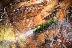 OLIGHT Taschenlampe Baton 4 PRO OD Green