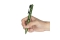 OLIGHT Taschenlampe Open 3 Class 1 OD Green