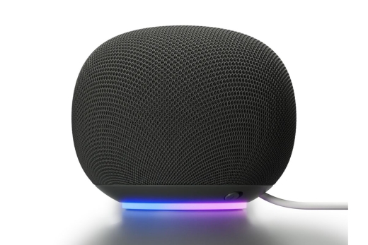 Google Home Grey