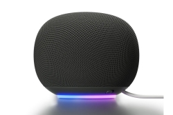 Google Home Grey