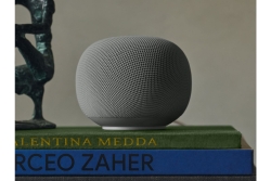Google Home Grey