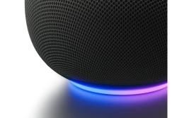 Google Home White
