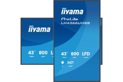 IIYAMA 108.0cm(43.) LH4366UHSB-B1AG 16:9 2xHDMI+USB-C VA
