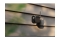 ABUS SmartLook WLAN-Außenkamera schwarz