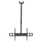 MANHATTAN Deckenhalterung Display 37-70/50kg neig&schw sw