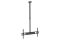 MANHATTAN Deckenhalterung Display 37-70/50kg neig&schw sw