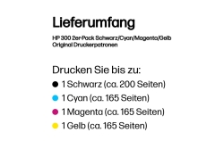 HP 300 Schwarz+Dreifarbig Tintenpatrone