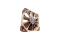 NOCTUA Lüfter NF-F12 PWM 120*120*25 retail
