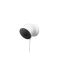 Google Nest Cam Outdoor & Indoor Wireless snow