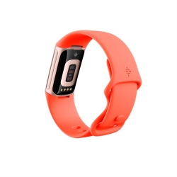 Fitbit Charge 6 OLED Wristband Activity Tracker coral/aluminium gold