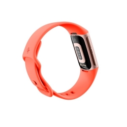 Fitbit Charge 6 OLED Wristband Activity Tracker coral/aluminium gold