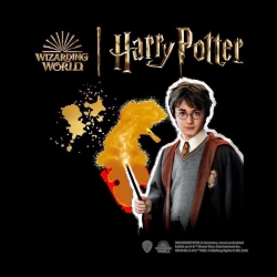 SES Harry Potter Steine bemalen