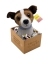 Minnie adopt me Plüsch Tier Hund