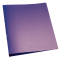 Ringbuch transparent - A4, 2-Ring, Ring-Ø 25 mm, violett-transparent