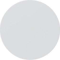 BERKER Wippe 16202089 polarweiss glänzend