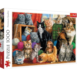 Katzen Puzzle 1000 Teile
