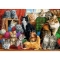 Katzen Puzzle 1000 Teile