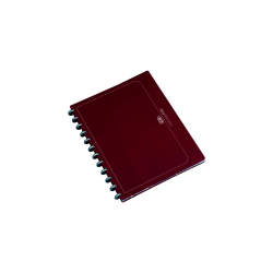 Ringmappe manageMe! Information-Manager - A4, 25...