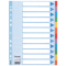 Register - blanko, Karton, A4, 12 Blatt, weiß, farbige Taben