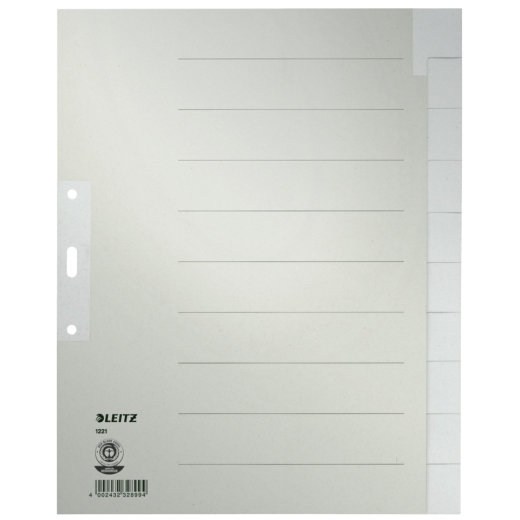 1221 Register - Tauenpapier, blanko, A4 Überbreite, 10 Blatt, grau