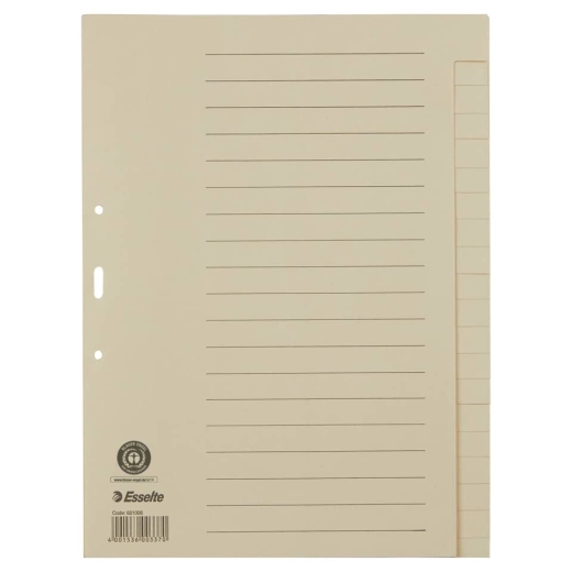 Register - blanko, A4, Papier, 20 Blatt, chamois