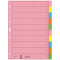 4340 Register - blanko, Papier, A4, 10 Blatt, Taben 2x 5-farbig