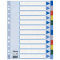 Register - blanko, A4, PP, 12-teilig + Deckblatt, farbig
