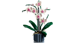 LEGO® 10311 Icons Orchidee 608 Teile