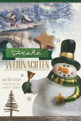 Weihnachtskarten 100 Stück 8 Motive