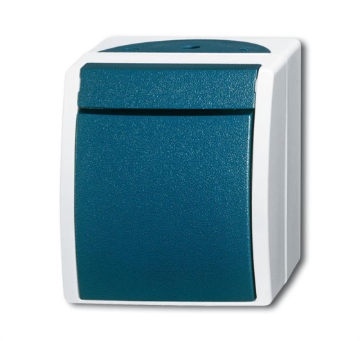 BUSCH-JAEGER Taster 2621 W-53 ocean Schliesser grau/blaugrün