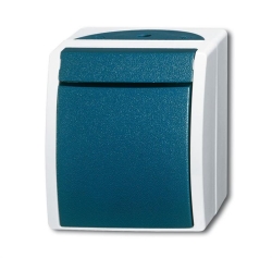 BUSCH-JAEGER Taster 2621 W-53 ocean Schliesser...