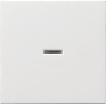GIRA Wippe 029003 Kontrollfenster System 55 rw