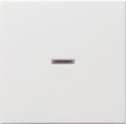 GIRA Wippe 029003 Kontrollfenster System 55 rw