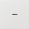 GIRA Wippe 029003 Kontrollfenster System 55 rw