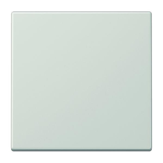 JUNG Wippe LS990LG für Schalter/Taster