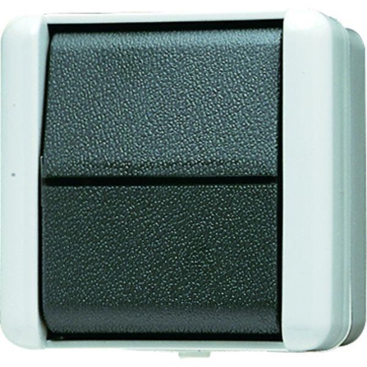 JUNG Schalter 806W Wechsel