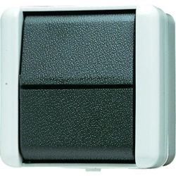 JUNG Schalter 806W Wechsel