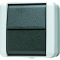 JUNG Schalter 806W Wechsel
