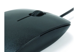 CONCEPTRONIC Optische Maus USB-A/1000DPI/3Tasten L+R schwarz